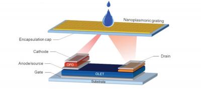 Optoplasmonic - OLET system (simplified structure)