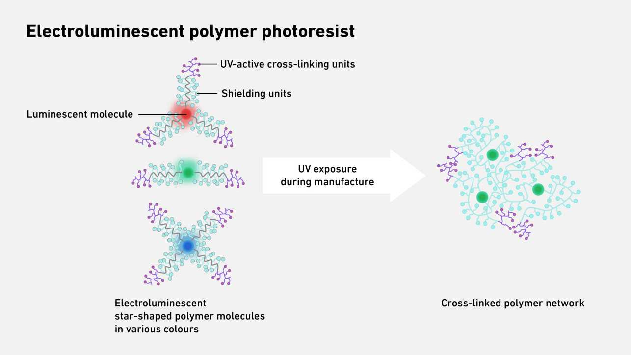 Structure Polymere OLED-Info | OLED industry portal