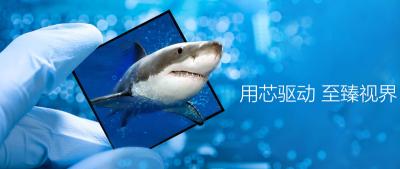 BCDTEK microdisplay banner image BCDTEK microdisplay banner image