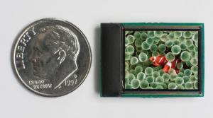 eMagin SXGA OLED-XL microdisplay photo eMagin SXGA OLED-XL microdisplay photo
