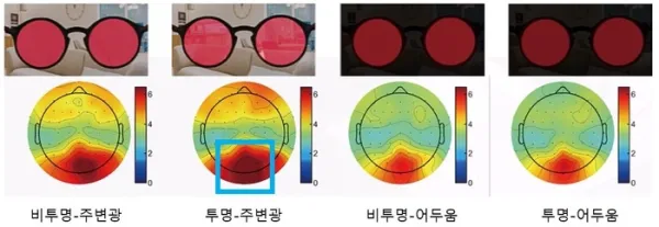 KAIST researchers utilize transparent OLED glasses for brain therapy