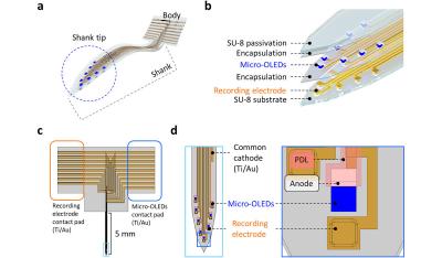 Advanced flexible OLED neural probe (KAIST)