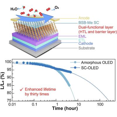 Dual-functional single-crystalline BSB-Me OLED figure
