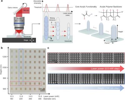 Low-cost and high-performance MLA arrays, POSTECH