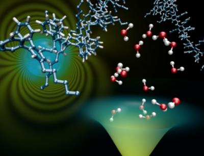  Charges in organic semiconductors, trapped by oxygen and water molecules (MPI-P)