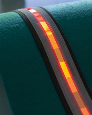 Fraunhofer OLED light strips photo