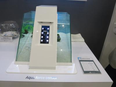 SDC Aquaforce sensor AMOLED at SID 2018