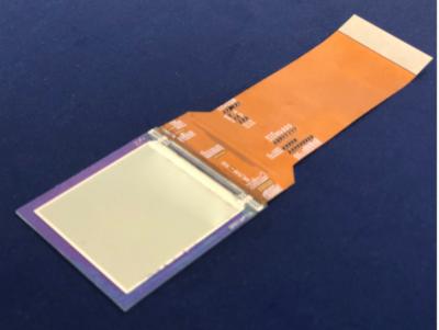 INT Tech 2.17-inch 2228 PPI OLED display prototype