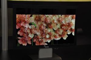 Ignis 20'' AMOLED defects at SID 2012