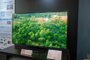 JOLED 55'' OLED TV prototype (FineTech Japan 2018)