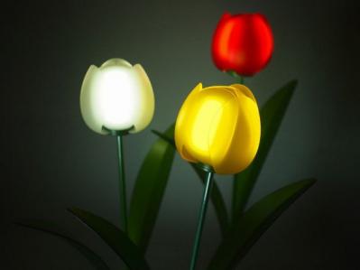 Konica Minolta flexible OLED tulips photo