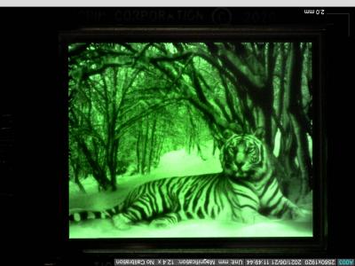 Kopin's 35k000-nits green OLED microdisplay photo