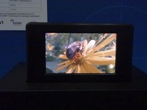 DuPont 4.3-inch printed OLED prototype